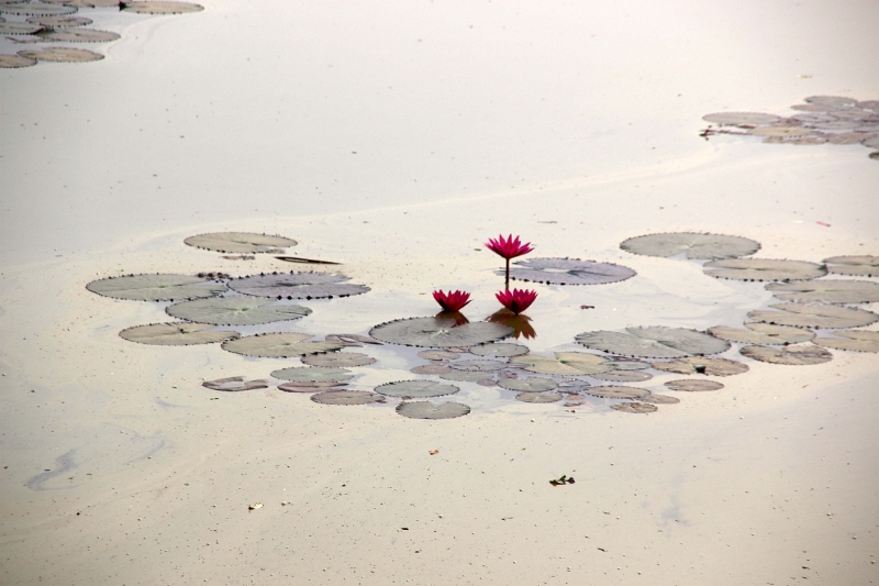 44_ angkor_wat_003.jpg